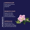 image:imageNaturopathica Marshmallow Root Gentle Cleanser 28 oz05 Ounce Pack of 1
